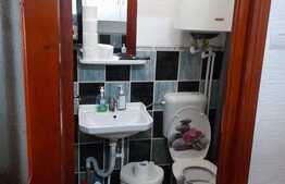 Camera de camin, 21 mp, zona Bularga