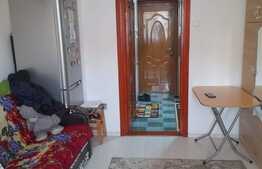 Camera de camin, 21 mp, zona Bularga