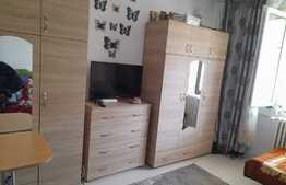 Camera de camin, 21 mp, zona Bularga