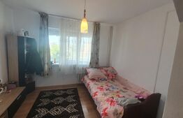 Camera de camin, 17 mp, zona Bularga