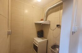 Camera de camin, 17 mp, zona Bularga