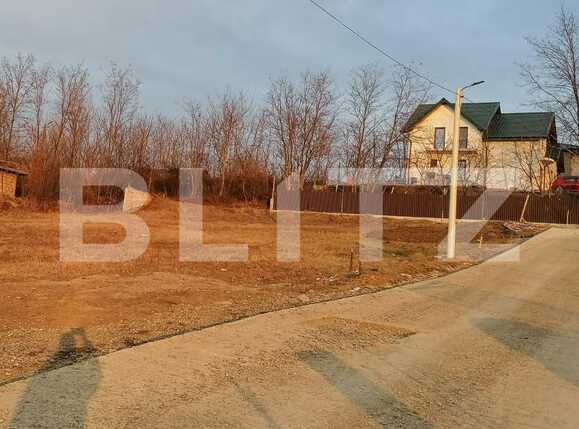 Teren de vânzare Vest - 83345TV | BLITZ Iași | Poza2