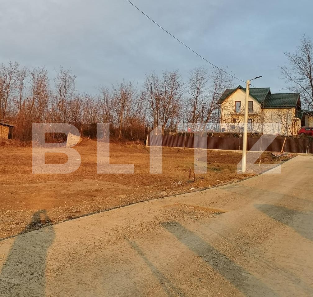 Teren de vânzare Vest - 83345TV | BLITZ Iași | Poza2