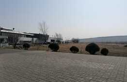 Teren intravilan 7583 mp, deschidere 50 ml la DN28