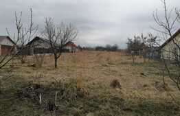 Teren intravilan 4200 mp, Letcani, central!