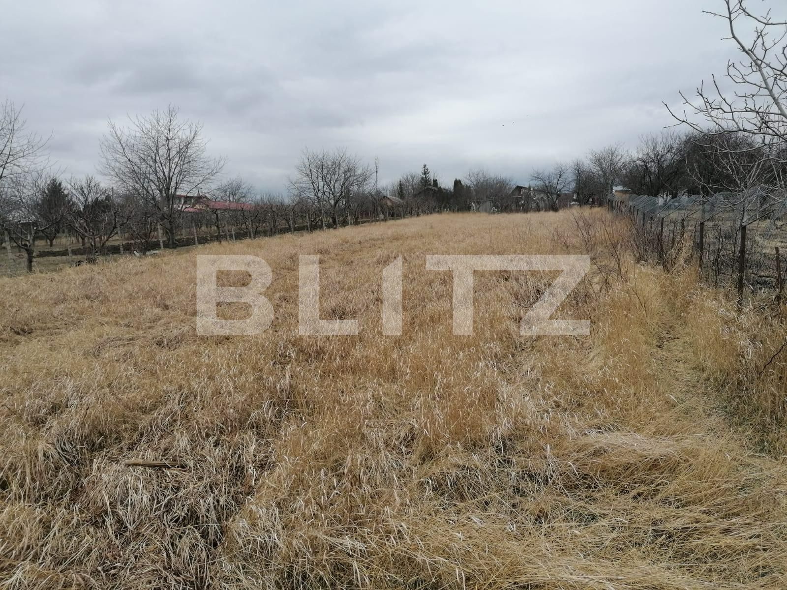 Teren de vânzare Vest - 83354TV | BLITZ Iași | Poza2