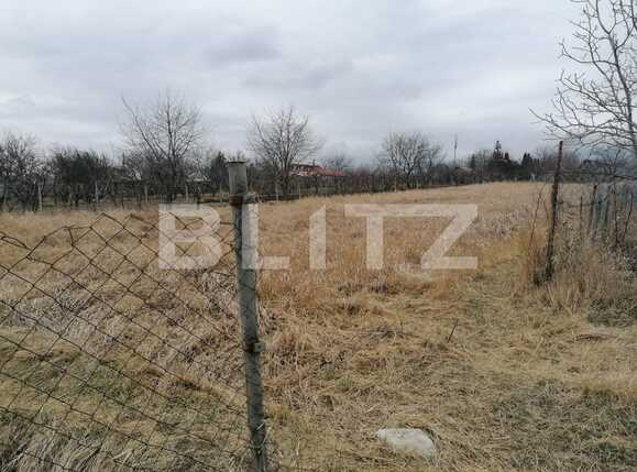 Teren de vânzare Vest - 83356TV | BLITZ Iași | Poza2