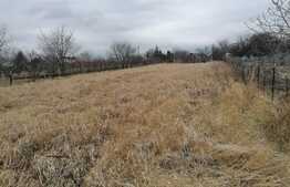 Casa batraneasca Letcani, central, 4200 mp teren