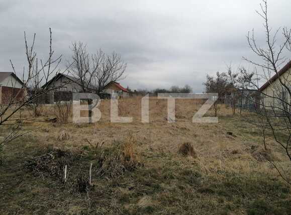 Casa de vânzare 3 camere Vest - 83357CV | BLITZ Iași | Poza4