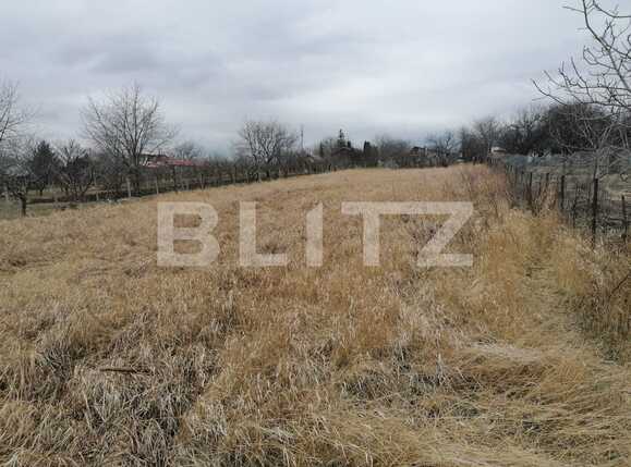 Casa de vânzare 3 camere Vest - 83357CV | BLITZ Iași | Poza3