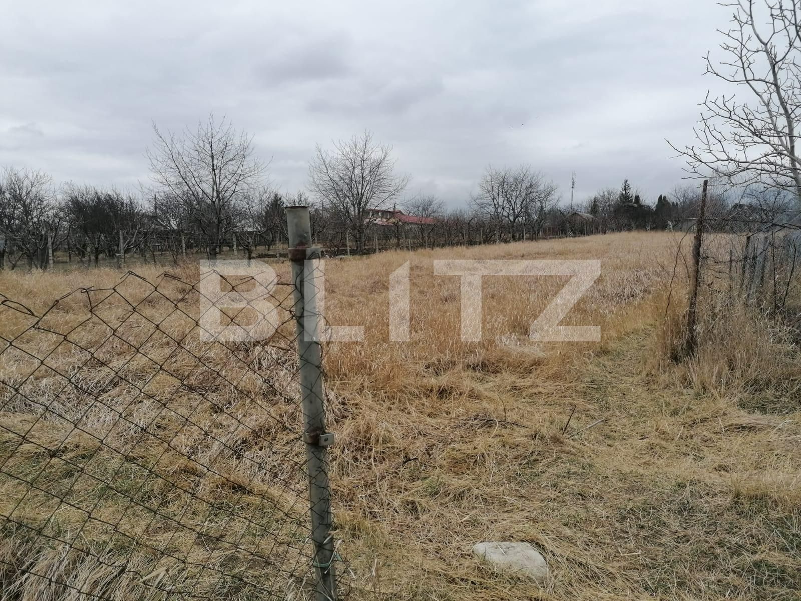 Casa de vânzare 3 camere Vest - 83357CV | BLITZ Iași | Poza2
