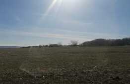 Teren extravilan, 7500 mp, comuna Miroslava