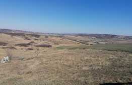 Teren extravilan, 7500 mp, comuna Miroslava