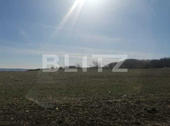 Teren de vânzare Sud - 83672TV | BLITZ Iași | Poza2