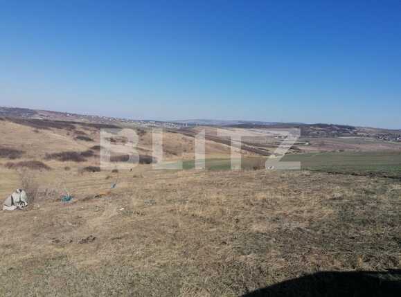 Teren de vânzare Sud - 83672TV | BLITZ Iași | Poza1