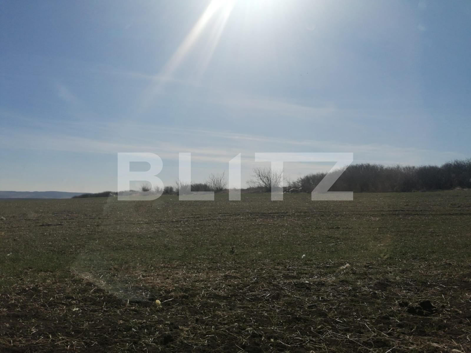 Teren de vânzare Sud - 83672TV | BLITZ Iași | Poza2