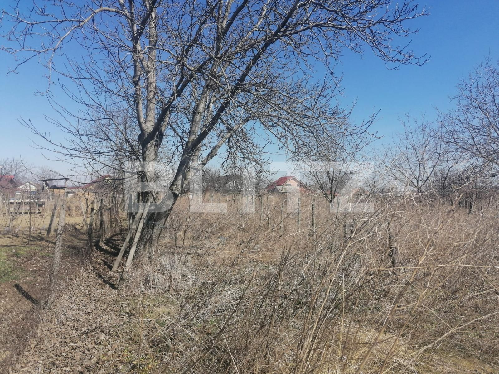 Casa de vânzare 3 camere Est - 83674CV | BLITZ Iași | Poza5