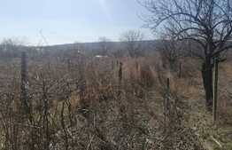 Teren 3000 mp, 15 km de Iasi, central Osoi