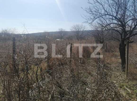 Teren de vânzare Est - 83676TV | BLITZ Iași | Poza5