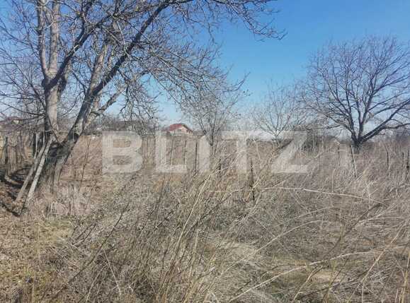 Teren de vânzare Est - 83676TV | BLITZ Iași | Poza4