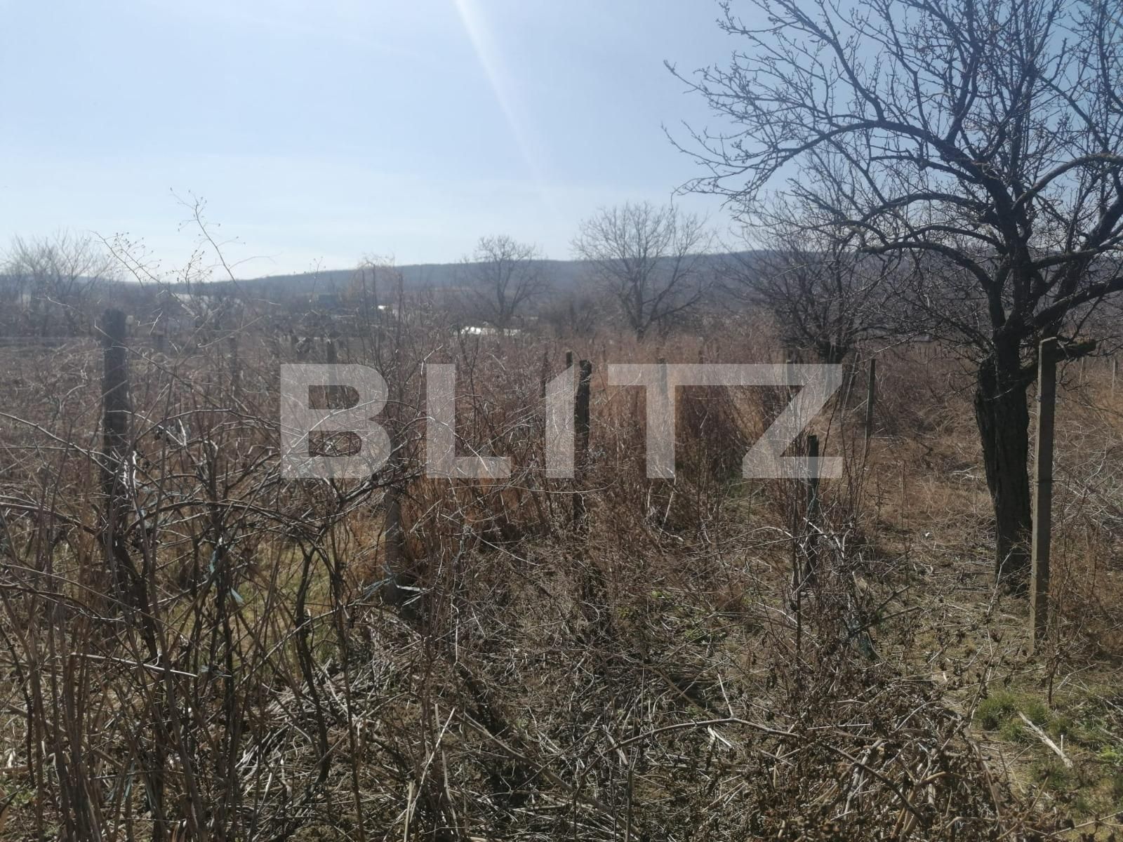 Teren de vânzare Est - 83676TV | BLITZ Iași | Poza5