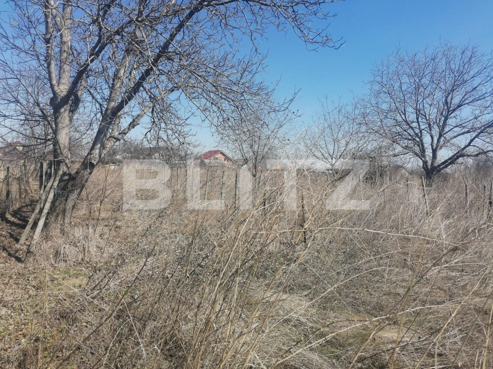 Teren de vânzare Est - 83676TV | BLITZ Iași | Poza4