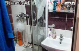 Camera de camin, 16 mp, zona Bularga