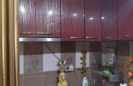 Camera de camin, 16 mp, zona Bularga