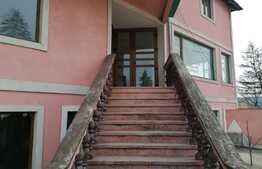 Spatiu comercial, 400 mp, Schitu-Duca