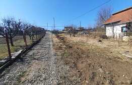 Casa batraneasca renovata cu 600 mp de teren, toate utilitatile, Breazu