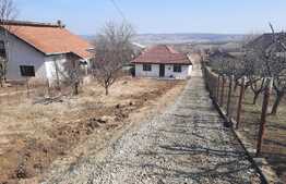 Casa batraneasca renovata cu 600 mp de teren, toate utilitatile, Breazu
