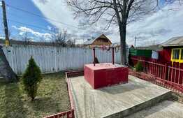 Casa batraneasca cu anexe, 1000 mp teren, sat Bogdanesti