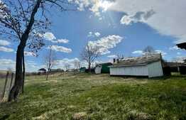 Casa batraneasca cu anexe, 1000 mp teren, sat Bogdanesti