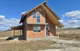 Casa de 4 camere, la rosu, 570 mp teren, zona Ciurbesti