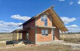 Casa de 4 camere, la rosu, 570 mp teren, zona Ciurbesti