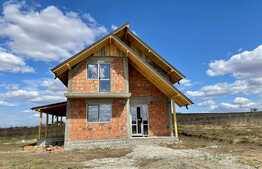 Casa de 4 camere, la rosu, 570 mp teren, zona Ciurbesti