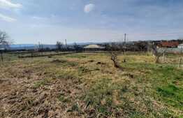 Teren intravilan de 550 mp cu AC, ingradit, plan drept, utilitati, Miroslava