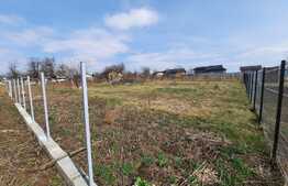 Teren intravilan de 550 mp cu AC, ingradit, plan drept, utilitati, Miroslava