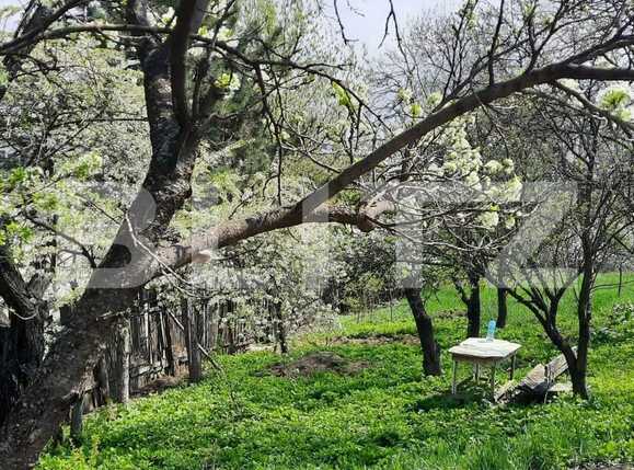 Teren de vânzare Sud - 83993TV | BLITZ Iași | Poza3