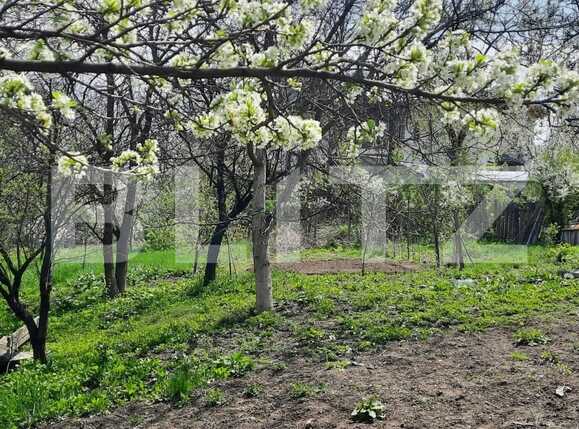 Teren de vânzare Sud - 83993TV | BLITZ Iași | Poza1