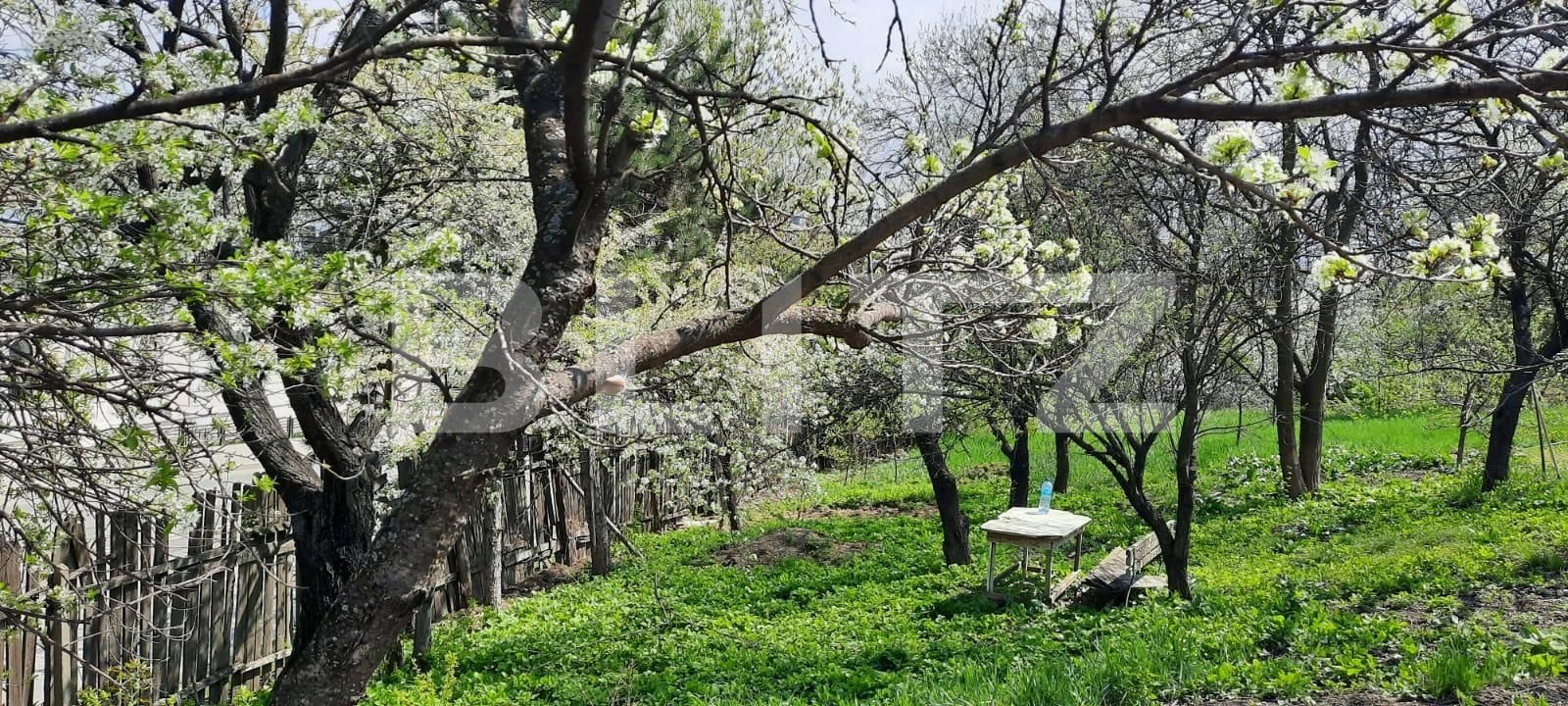 Teren de vânzare Sud - 83993TV | BLITZ Iași | Poza3