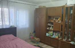 Apartament 2 camere, decomandat, 50 mp, Nicolina-Rond Vechi
