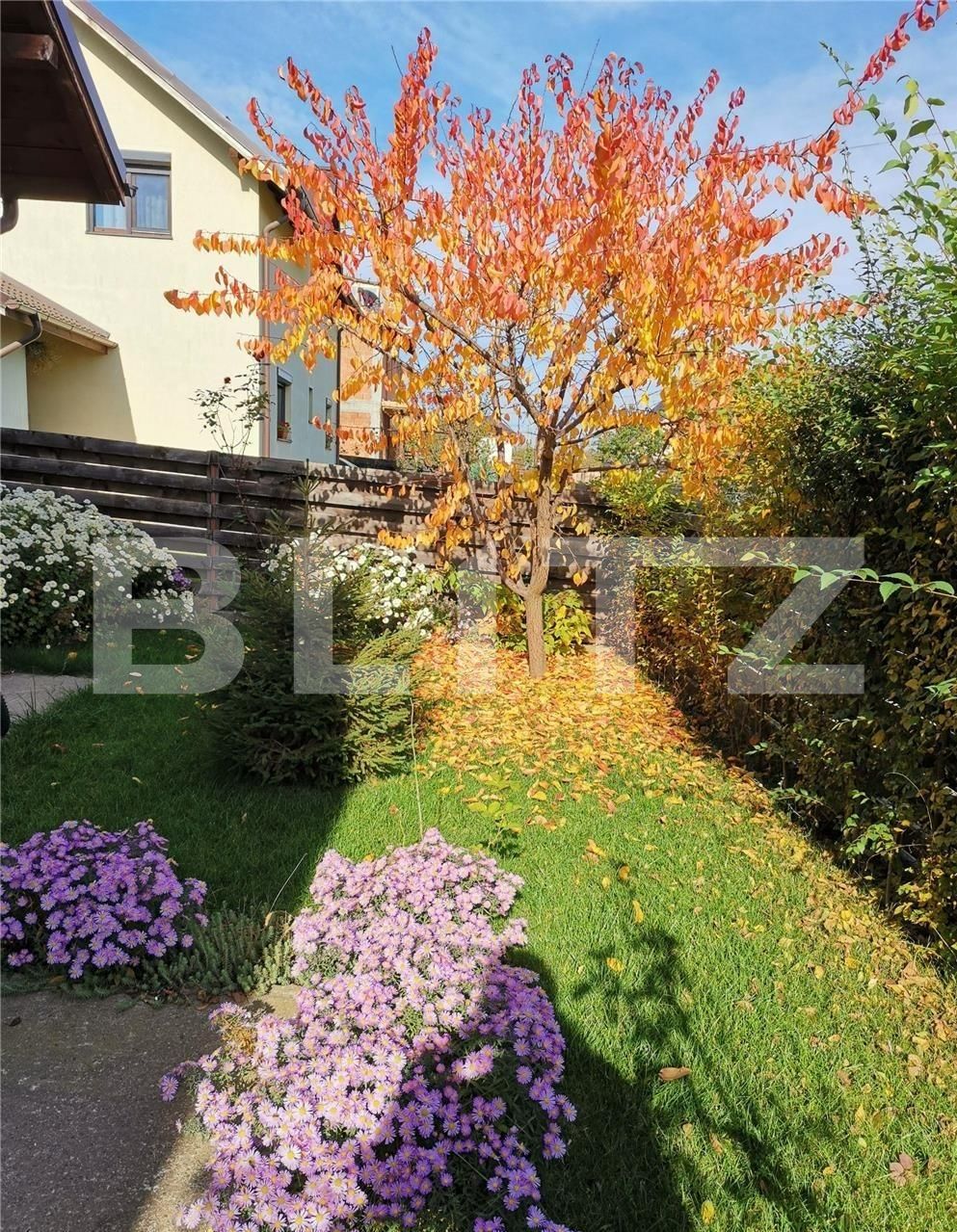 Teren de vânzare Sud - 84294TV | BLITZ Iași | Poza2