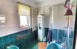 Rate la proprietar, 271 mp, 960 mp de teren, Valea Lupului