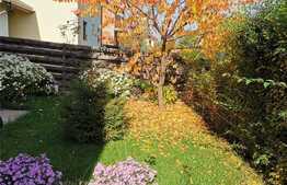 Casa plan parter, 3 camere, 380 mp teren, Horpaz