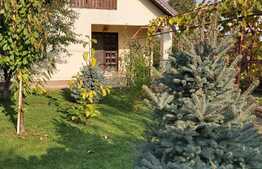 Casa cu 5 camere de 125 mp, 500 mp de teren, canalizare, Holboca