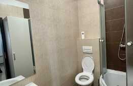 Apartament de 2 camere, modern, terasa, zona Palas