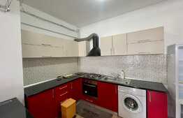 Apartament de 2 camere, modern, terasa, zona Palas