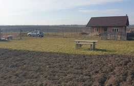 Teren 500 mp, 18 ml deschidere, Proiect+AC, Proselnici