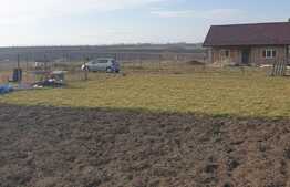 Teren 500 mp, 18 ml deschidere, Proiect+AC, Proselnici